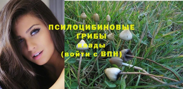 мяу мяу мука Ладушкин