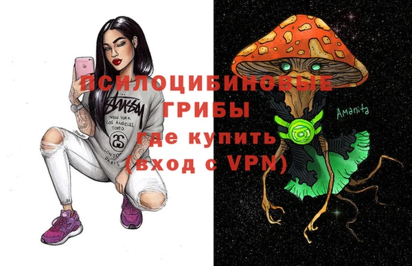 стаф Лабытнанги